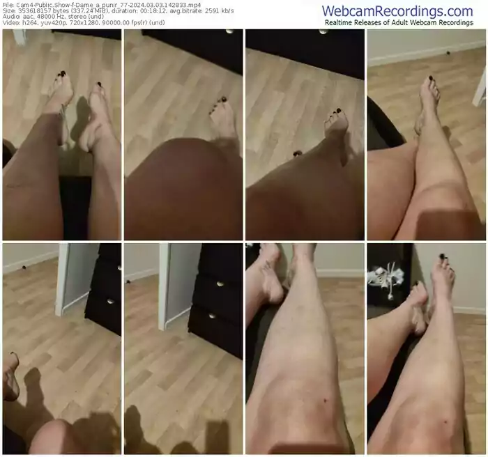 cam4-dame_a_punir_77-03-03-2024-14-28-33