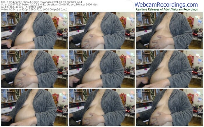cam4-geilyschwanger-03-03-2024-06-56-19