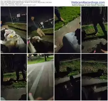 cam4-pollen_07-03-04-2024-17-11-28