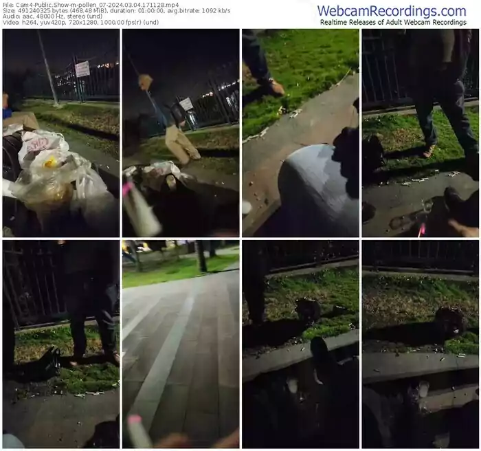 cam4-pollen_07-03-04-2024-17-11-28