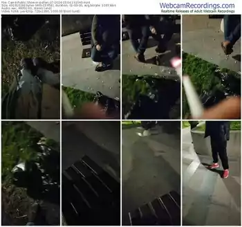 cam4-pollen_07-03-04-2024-19-10-40