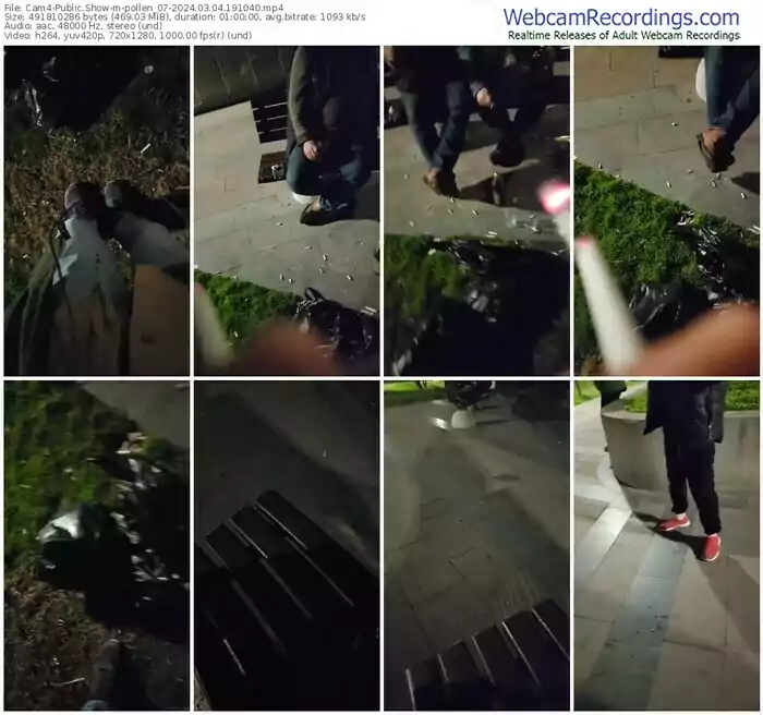 cam4-pollen_07-03-04-2024-19-10-40