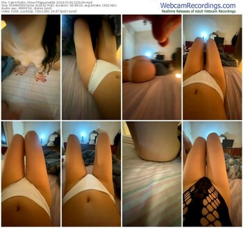cam4-pappone691-03-06-2024-22-51-06