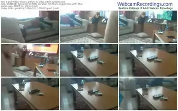 cam4-pollen_07-03-07-2024-12-02-40