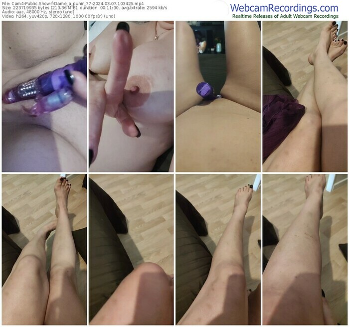 cam4-dame_a_punir_77-03-07-2024-10-34-25