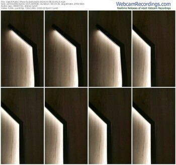 cam4-libellule29-03-08-2024-01-05-13