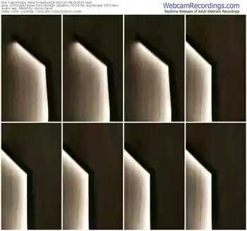 cam4-libellule29-03-08-2024-01-05-13