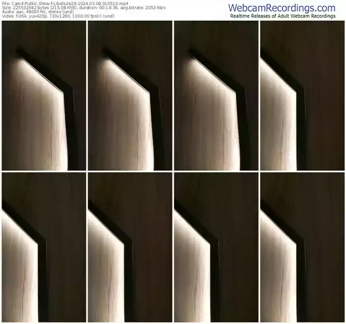 cam4-libellule29-03-08-2024-01-05-13