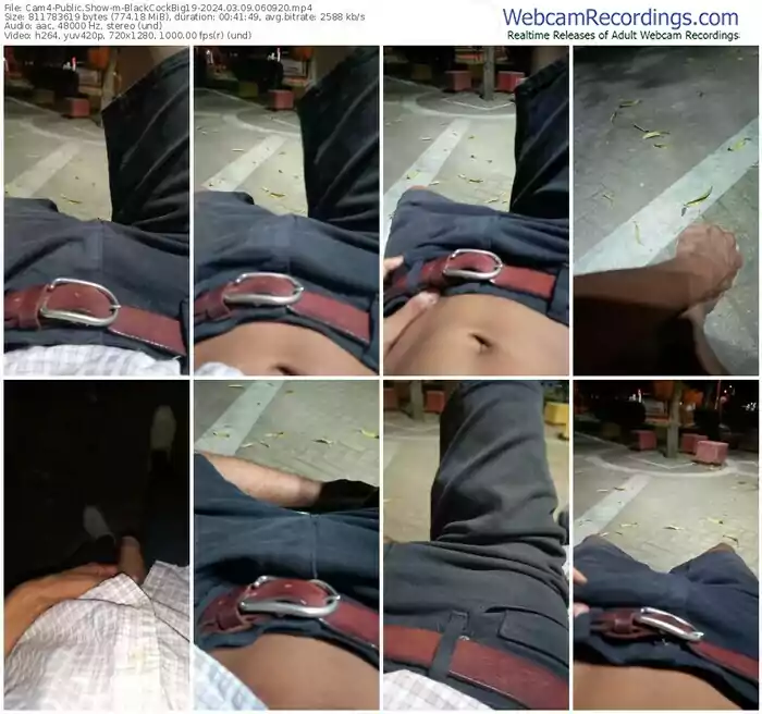 cam4-blackcockbig19-03-09-2024-06-09-20