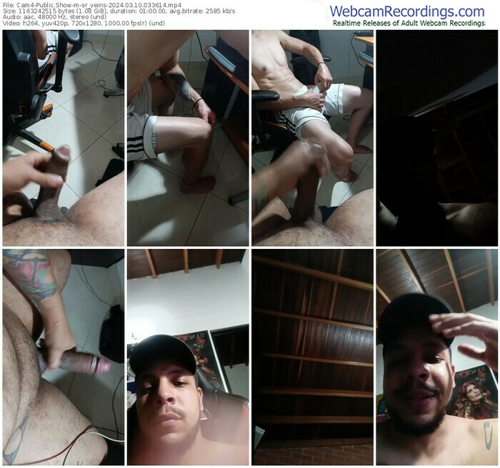 cam4-sr_veins-03-10-2024-03-36-14