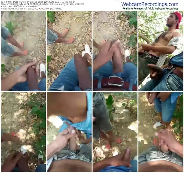 cam4-blackcockbig19-03-11-2024-19-42-39