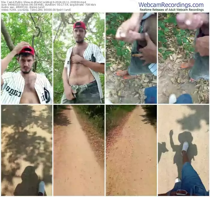 cam4-blackcockbig19-03-11-2024-20-00-30