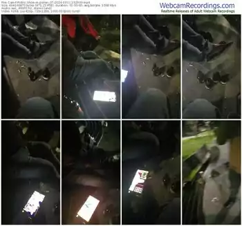 cam4-pollen_07-03-11-2024-19-20-39