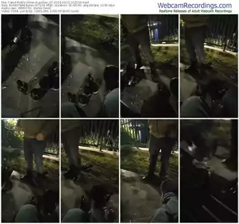 cam4-pollen_07-03-11-2024-20-25-34