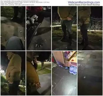 cam4-pollen_07-03-11-2024-21-25-44