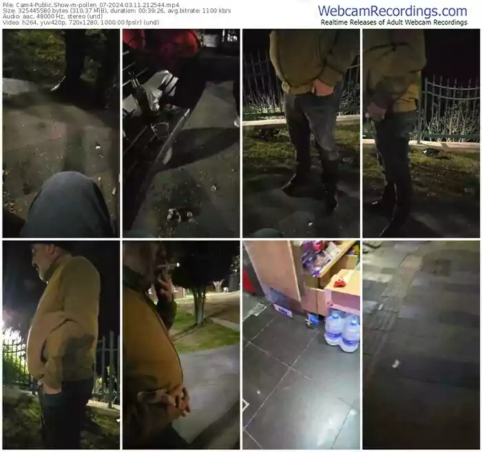 cam4-pollen_07-03-11-2024-21-25-44