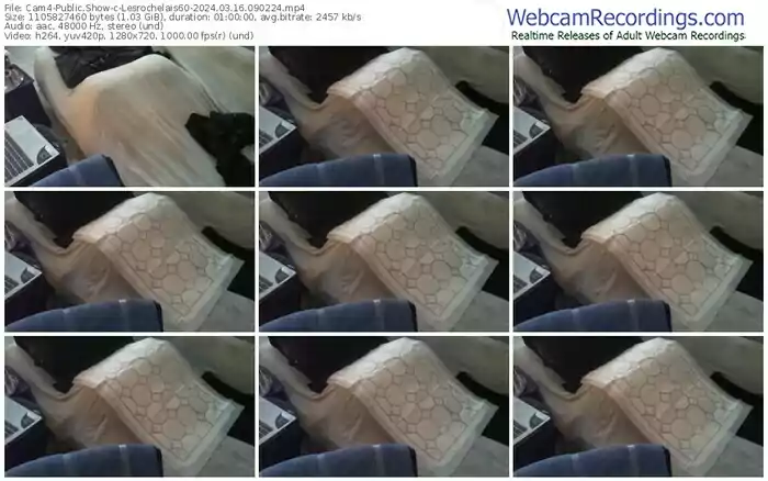 cam4-lesrochelais60-03-16-2024-09-02-24