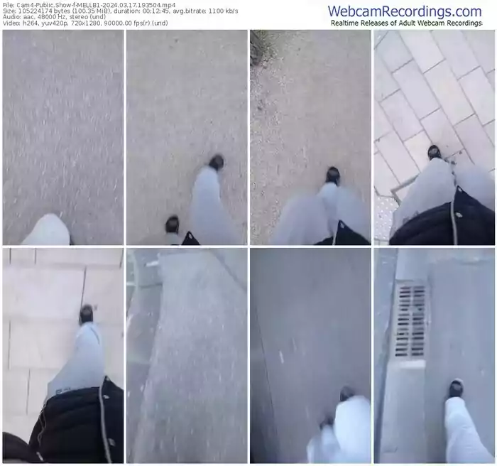 cam4-mellb1-03-17-2024-19-35-04