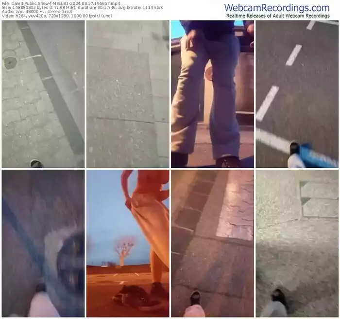 cam4-mellb1-03-17-2024-19-56-57