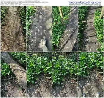 cam4-videocamm-03-17-2024-15-32-48