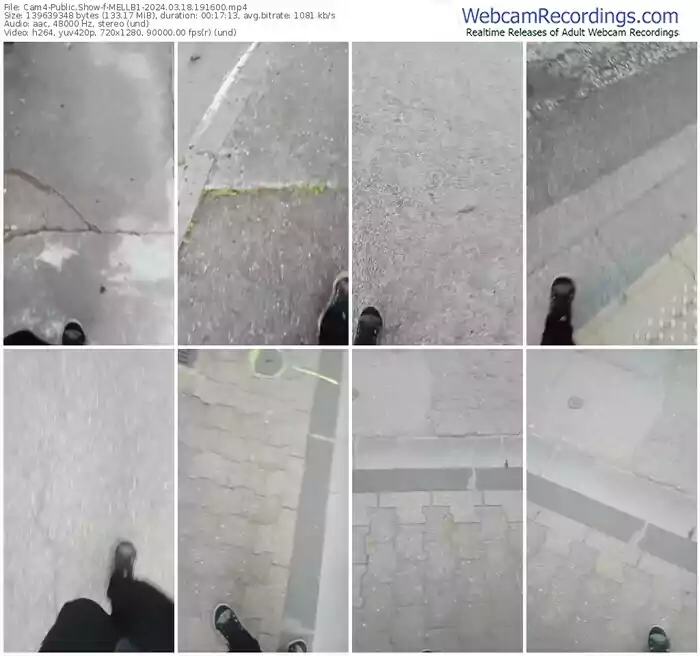 cam4-mellb1-03-18-2024-19-16-00