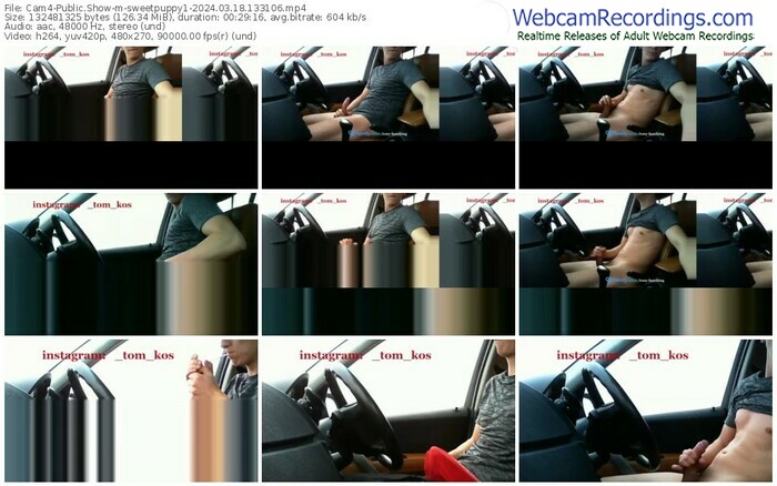 cam4-sweetpuppy1-03-18-2024-13-31-06