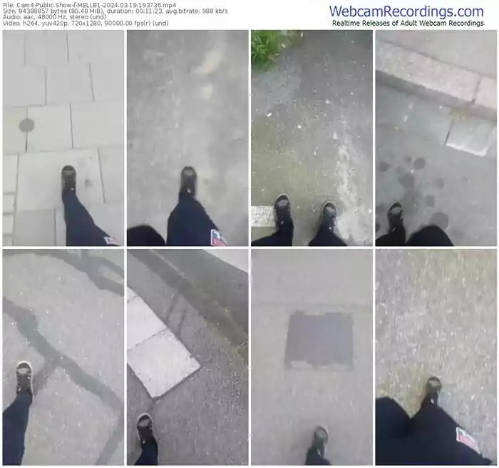 cam4-mellb1-03-19-2024-19-37-36