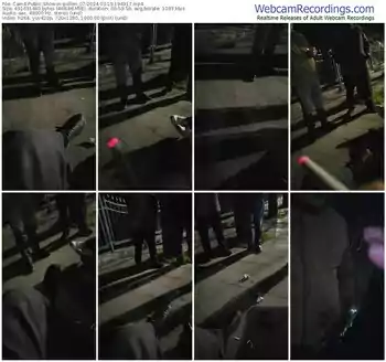 cam4-pollen_07-03-19-2024-19-49-17