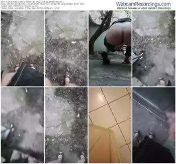 cam4-mellb1-03-21-2024-19-36-09