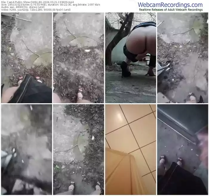 cam4-mellb1-03-21-2024-19-36-09