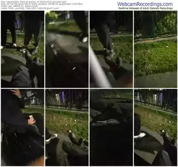 cam4-pollen_07-03-21-2024-21-12-40