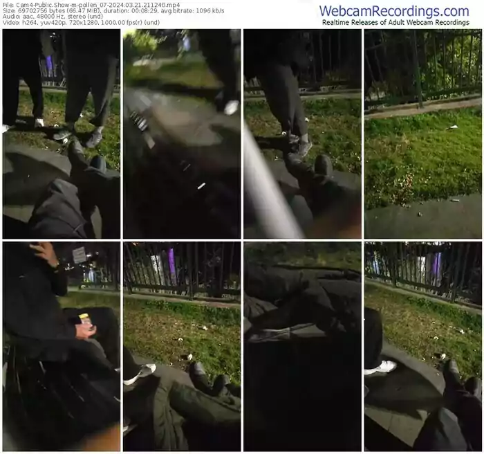 cam4-pollen_07-03-21-2024-21-12-40