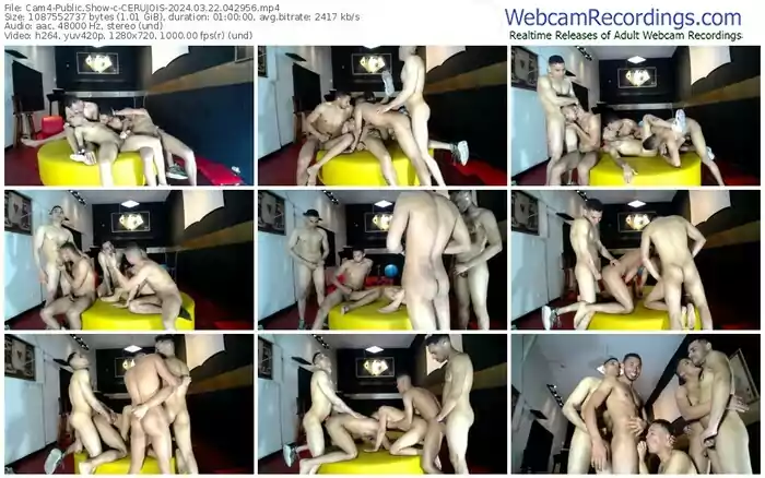 cam4-cerujois-03-22-2024-04-29-56