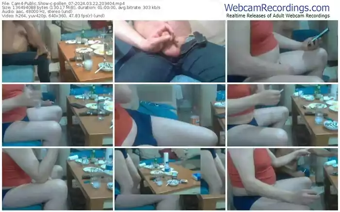 cam4-pollen_07-03-22-2024-20-34-04