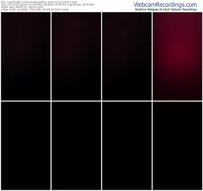 cam4-lamora2591-03-22-2024-12-18-13