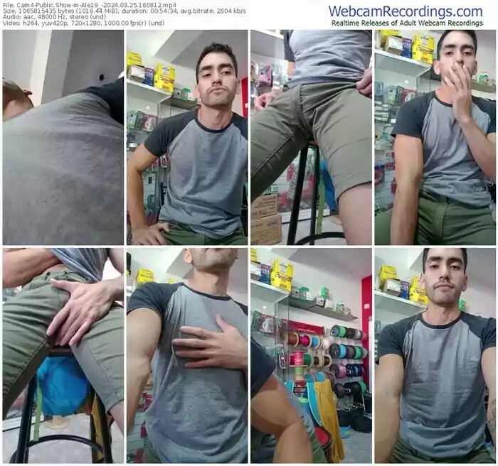 cam4-ale19_-03-25-2024-16-08-12