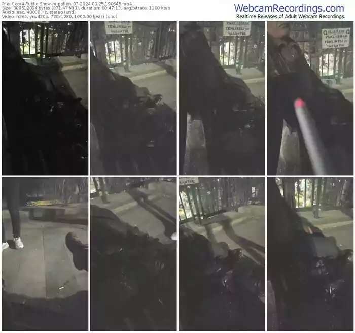 cam4-pollen_07-03-25-2024-19-06-45