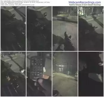 cam4-pollen_07-03-25-2024-19-54-51