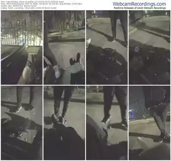 cam4-pollen_07-03-25-2024-20-55-15