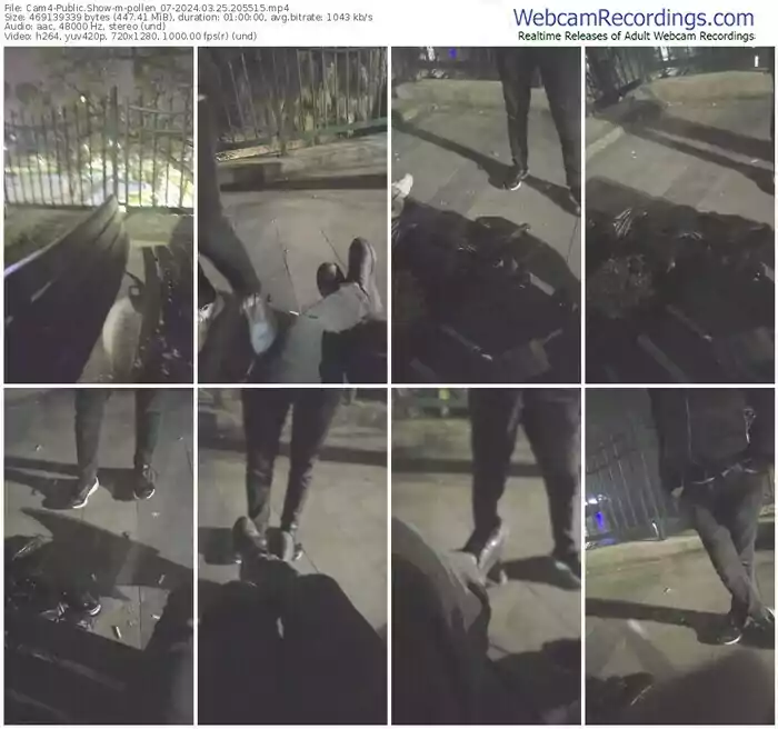 cam4-pollen_07-03-25-2024-20-55-15