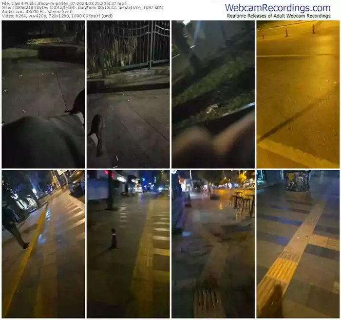 cam4-pollen_07-03-25-2024-23-51-27