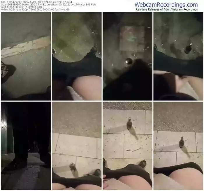 cam4-mellb1-03-26-2024-02-41-07