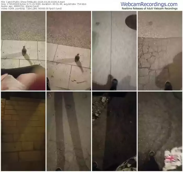 cam4-mellb1-03-26-2024-03-24-14