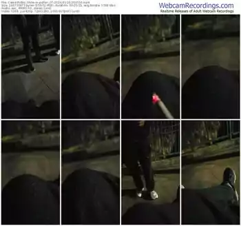 cam4-pollen_07-03-26-2024-20-15-56