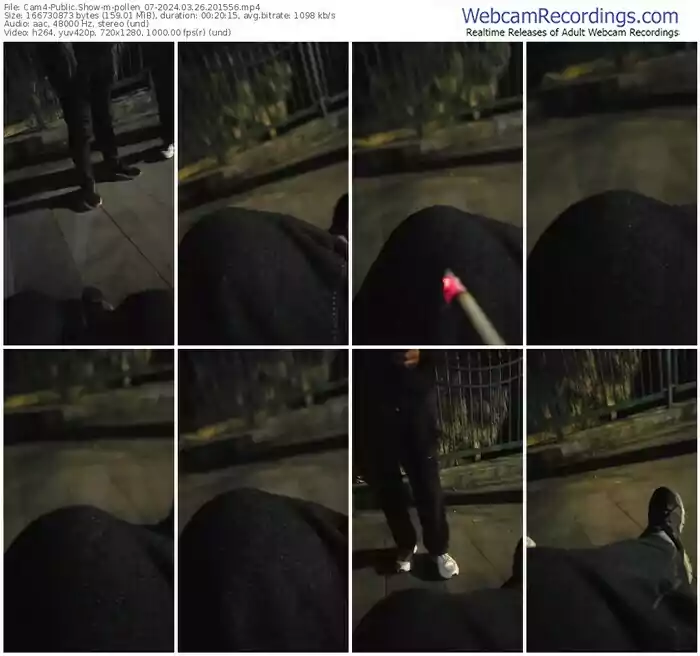 cam4-pollen_07-03-26-2024-20-15-56