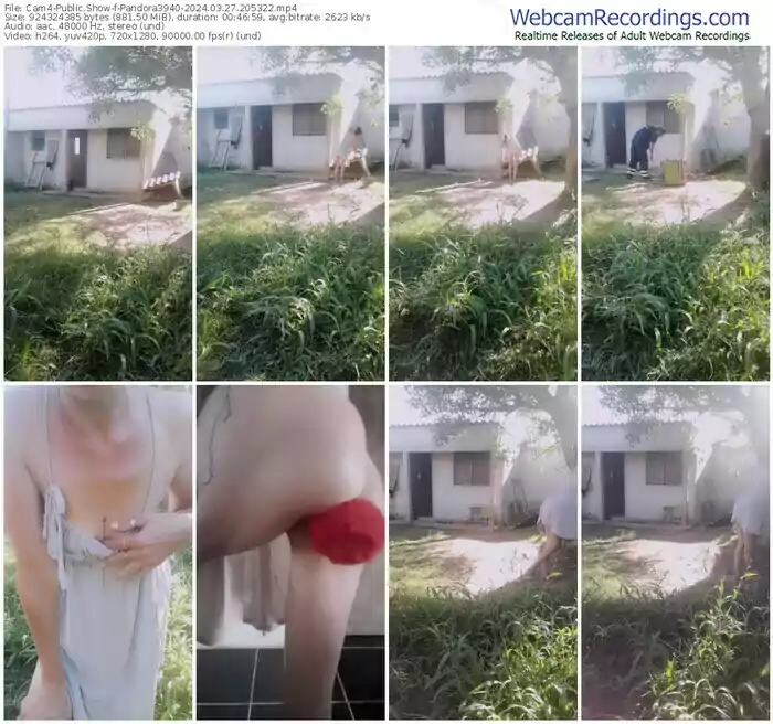 cam4-pandora3940-03-27-2024-20-53-22