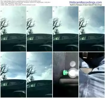 cam4-withehorses-03-28-2024-13-18-54