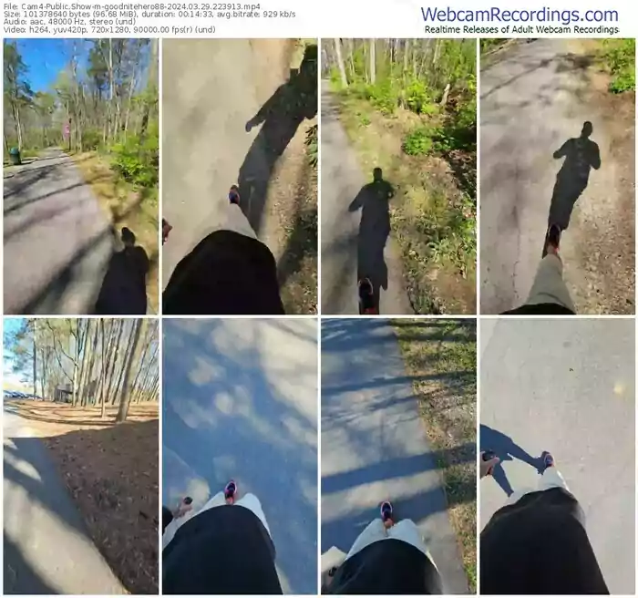 cam4-goodnitehero88-03-29-2024-22-39-13