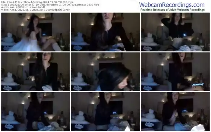 cam4-ginipig-03-30-2024-03-22-08