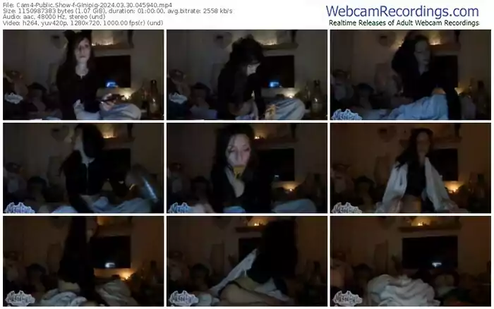 cam4-ginipig-03-30-2024-04-59-40